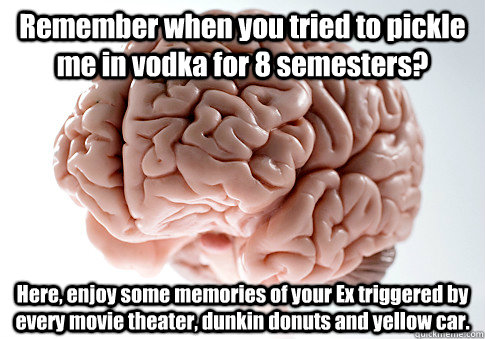 Remember when you tried to pickle me in vodka for 8 semesters? Here, enjoy some memories of your Ex triggered by every movie theater, dunkin donuts and yellow car.  Scumbag Brain