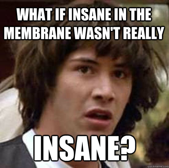 What if insane in the membrane wasn't really Insane? - What if insane in the membrane wasn't really Insane?  conspiracy keanu