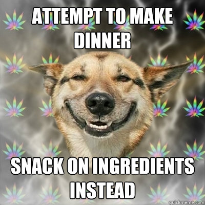 Attempt to make dinner snack on ingredients instead  Stoner Dog