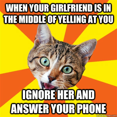 when your girlfriend is in the middle of yelling at you ignore her and answer your phone  Bad Advice Cat