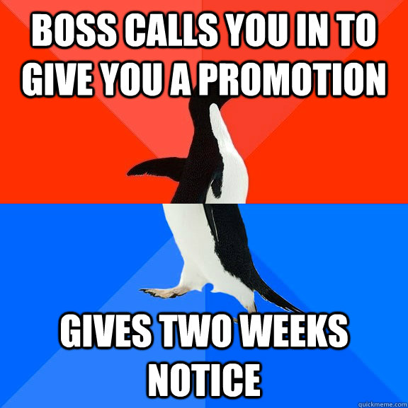 Boss calls you in to give you a promotion Gives two weeks notice - Boss calls you in to give you a promotion Gives two weeks notice  Socially Awesome Awkward Penguin