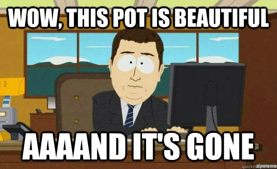 wow, This pot is beautiful AAAAND it's gone  aaaand its gone