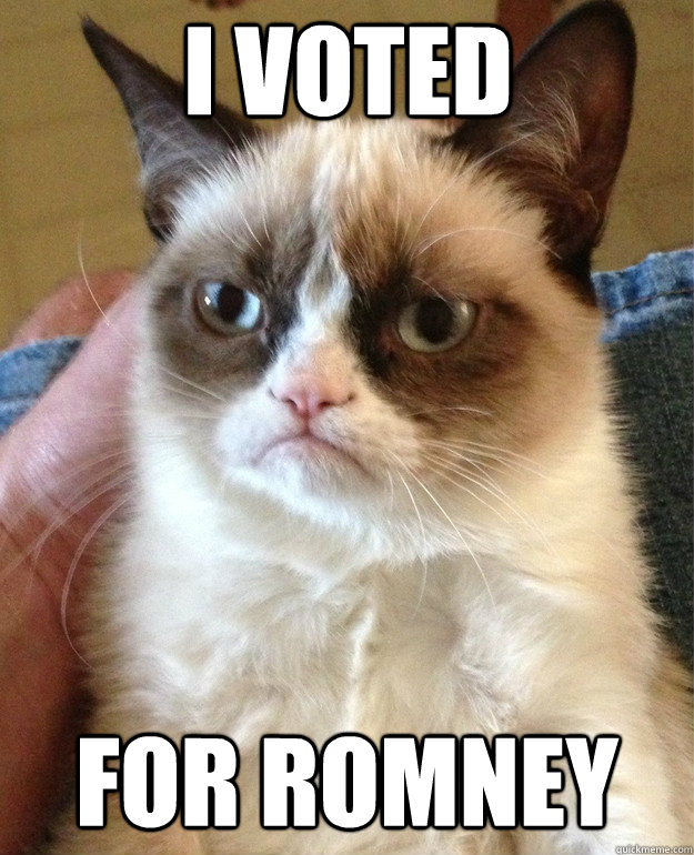 I voted for romney  Grumpy Cat