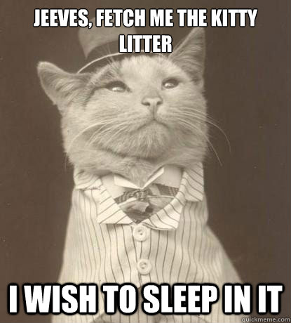 Jeeves, Fetch me the kitty litter I wish to sleep in it - Jeeves, Fetch me the kitty litter I wish to sleep in it  Aristocat