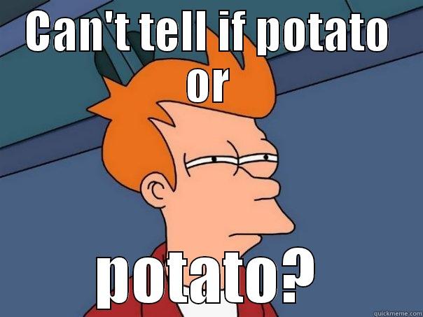 CAN'T TELL IF POTATO OR POTATO? Futurama Fry