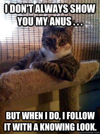 I don't always show you my anus . . . but when I do, I follow it with a knowing look.  The Most Interesting Cat in the World