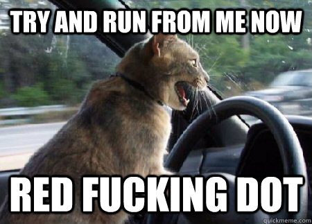 Try and run from me now red fucking dot  Aggressive Driver Cat