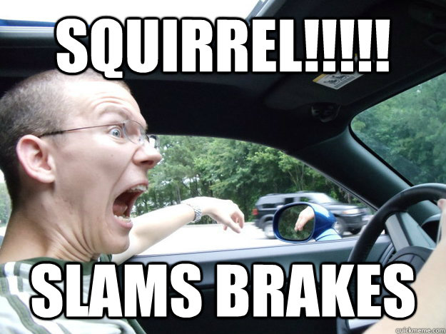 squirrel!!!!! slams brakes  scared driver sammy