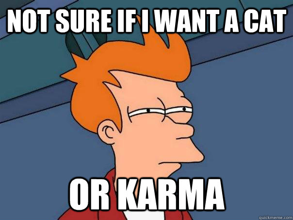 Not sure if I want a cat Or Karma  Futurama Fry