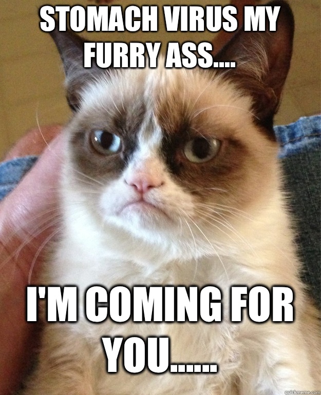 Stomach virus my furry ass.... I'm coming for you......  Grumpy Cat