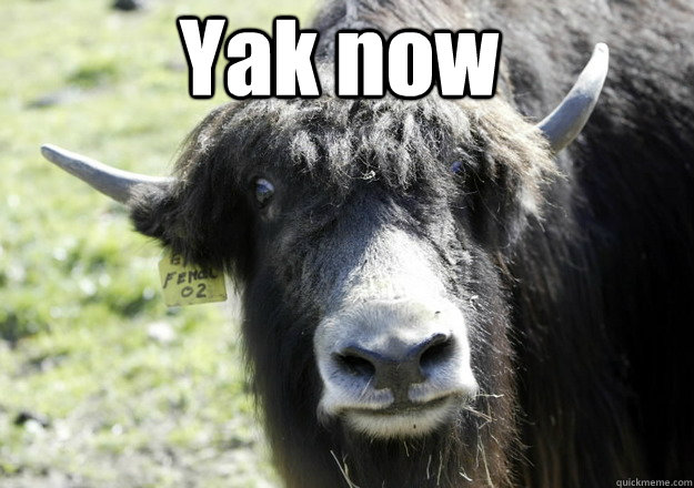  Yak now -  Yak now  Im a yak