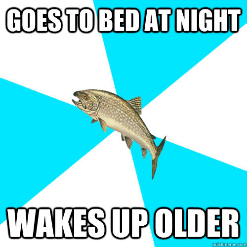 Goes to bed at night wakes up older - Goes to bed at night wakes up older  Pop Punk Trout