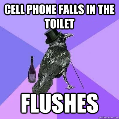 cell phone falls in the toilet flushes - cell phone falls in the toilet flushes  Rich Raven