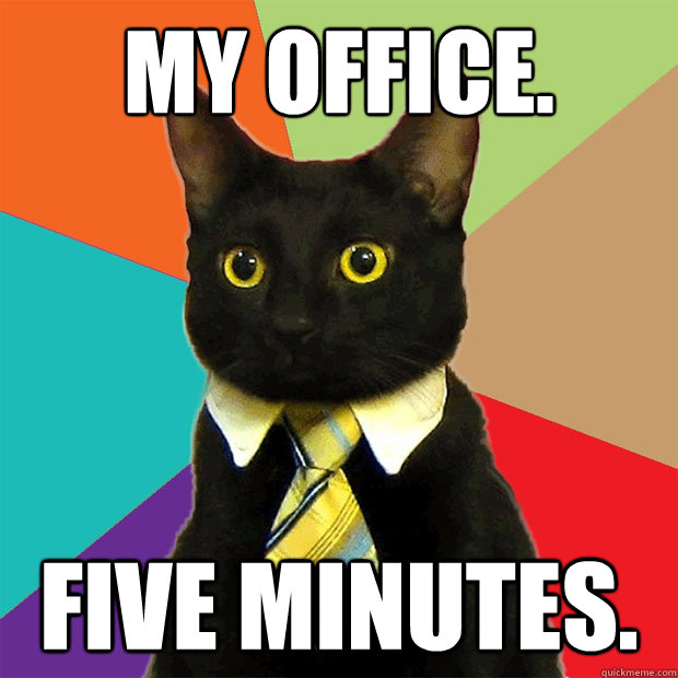 my office. five minutes.  Business Cat