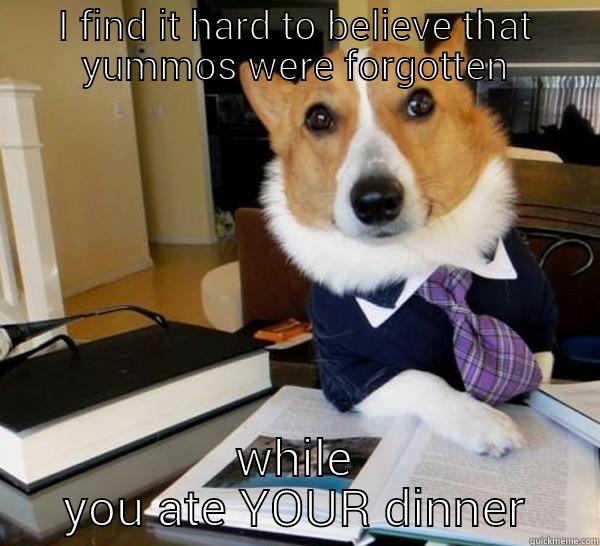 I FIND IT HARD TO BELIEVE THAT YUMMOS WERE FORGOTTEN WHILE YOU ATE YOUR DINNER Lawyer Dog