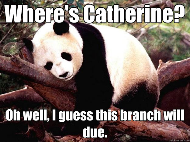 Where's Catherine? Oh well, I guess this branch will due.  Procrastination Panda