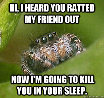 Hi, I heard you ratted my friend out  nOW i'M GOING TO KILL YOU IN YOUR SLEEP.  Misunderstood Spider