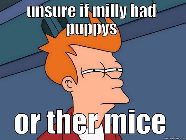 UNSURE IF MILLY HAD PUPPYS OR THER MICE Futurama Fry