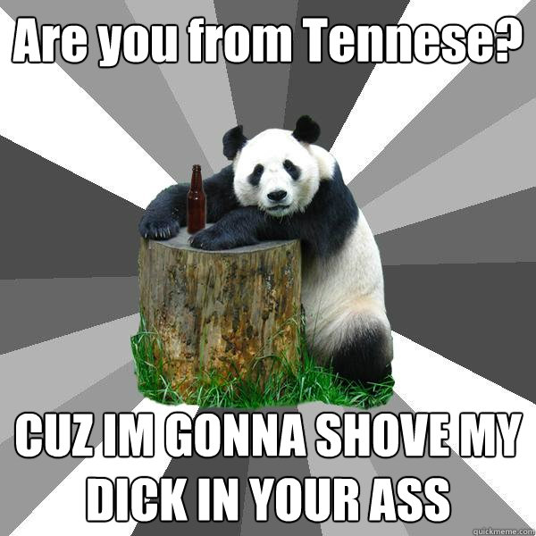 Are you from Tennese? CUZ IM GONNA SHOVE MY DICK IN YOUR ASS  Pickup-Line Panda