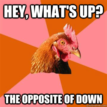 Hey, what's up? the opposite of down  Anti-Joke Chicken