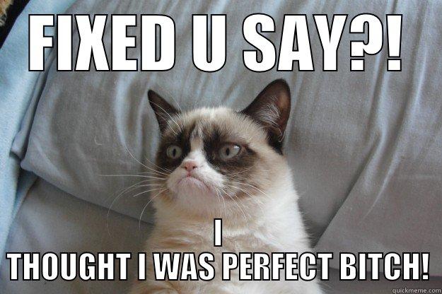 FIXED U SAY?! I THOUGHT I WAS PERFECT BITCH! Grumpy Cat