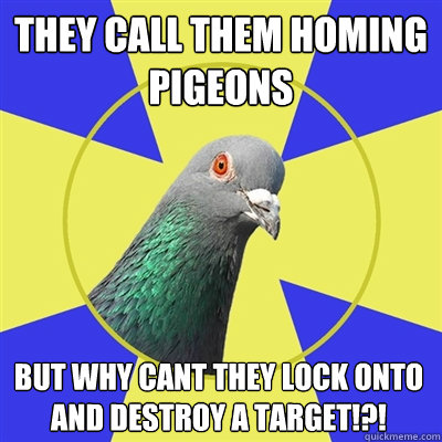 They call them homing pigeons but why cant they lock onto and destroy a target!?! - They call them homing pigeons but why cant they lock onto and destroy a target!?!  Religion Pigeon