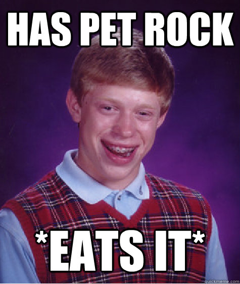 has pet rock *eats it* - has pet rock *eats it*  Bad Luck Brian