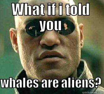 WHAT IF I TOLD YOU WHALES ARE ALIENS? Matrix Morpheus