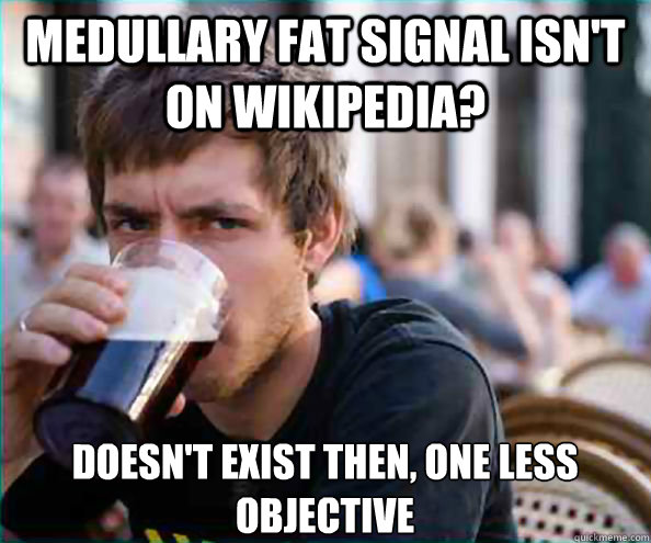 Medullary fat signal isn't on wikipedia? doesn't exist then, one less objective - Medullary fat signal isn't on wikipedia? doesn't exist then, one less objective  Lazy College Senior