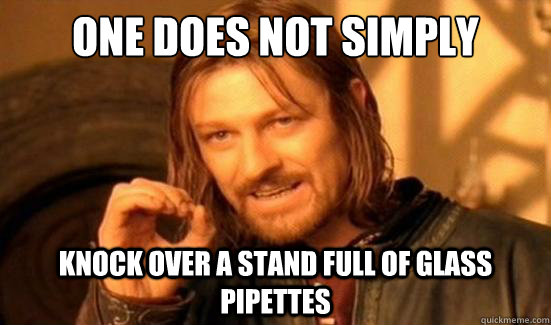 One Does Not Simply Knock over a stand full of Glass Pipettes  Boromir