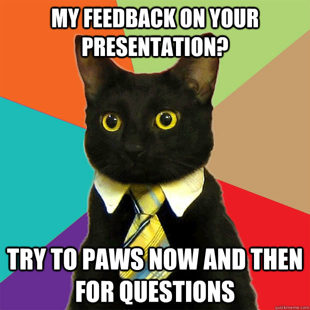 My feedback on your presentation? Try to Paws now and then for questions  Business Cat