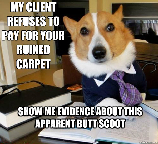 My client refuses to pay for your ruined carpet Show me evidence about this apparent butt scoot  Lawyer Dog