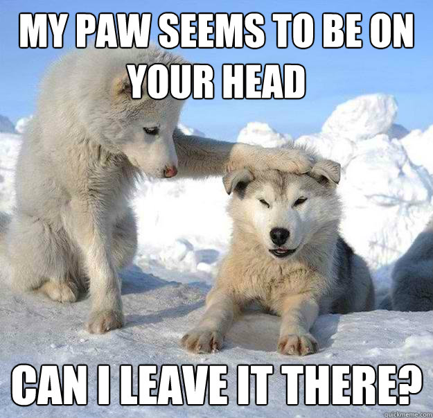 My paw seems to be on your head Can I leave it there?  Caring Husky