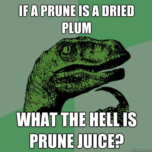 If a prune is a dried plum What the hell is prune juice?  Philosoraptor