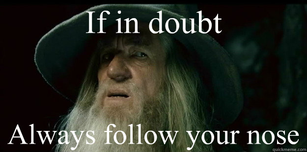 If in doubt Always follow your nose - I have no memory Gandalf - quickmeme