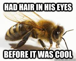 Had hair in his eyes Before it was cool  Hipster Bee