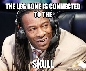 the leg bone is connected to the skull - the leg bone is connected to the skull  Misc