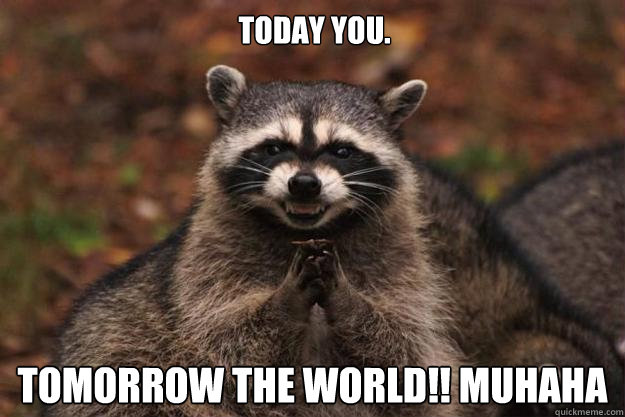 Today you. Tomorrow the world!! muhaha - Today you. Tomorrow the world!! muhaha  Evil Plotting Raccoon