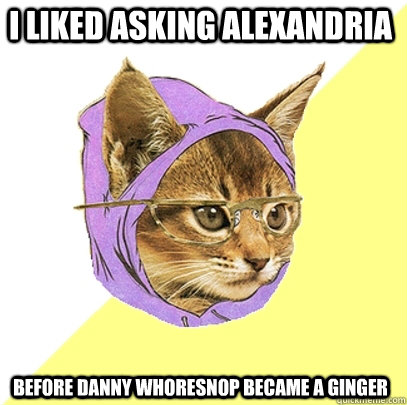 i liked asking alexandria before danny whoresnop became a ginger  Hipster Kitty