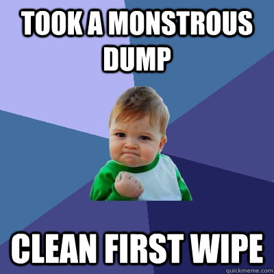 Took a monstrous dump clean first wipe  Success Kid