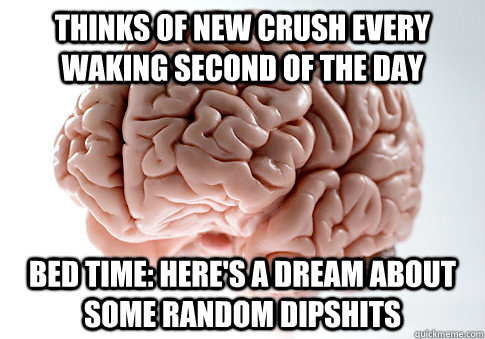 thinks of new crush every waking second of the day bed time: here's a dream about some random dipshits  Scumbag Brain