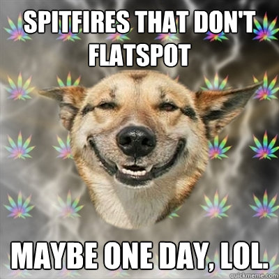 SPITFIRES THAT DON'T FLATSPOT MAYBE ONE DAY, LOL.  Stoner Dog