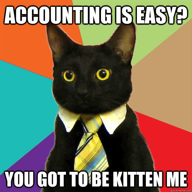 Accounting is easy? You got to be kitten me  Business Cat