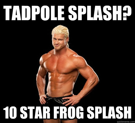 Tadpole splash? 10 star frog splash  Dolph Ziggler