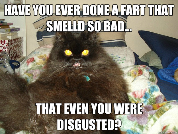 Have you ever done a fart that smelld so bad... That even you were disgusted? - Have you ever done a fart that smelld so bad... That even you were disgusted?  Eww Cat