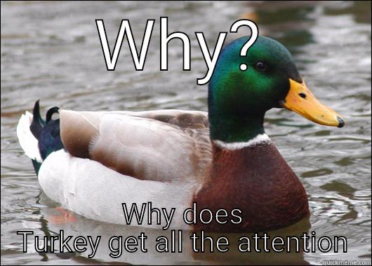 WHY? WHY DOES TURKEY GET ALL THE ATTENTION Actual Advice Mallard