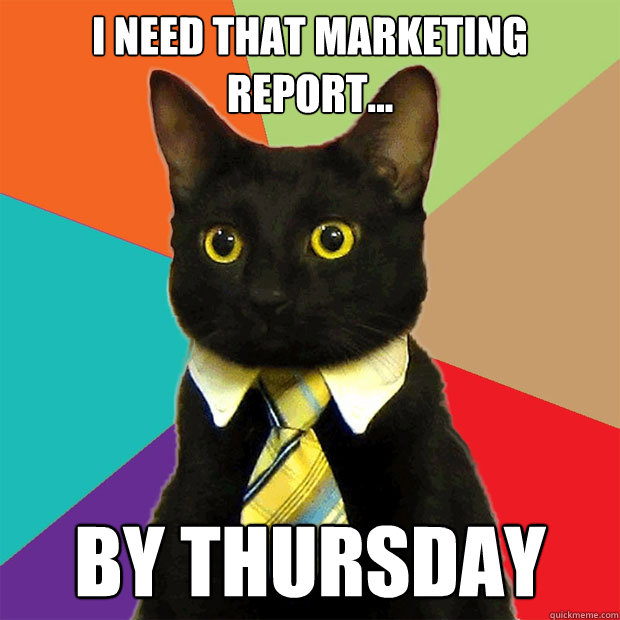 I need that marketing report... BY THURSDAY  Business Cat