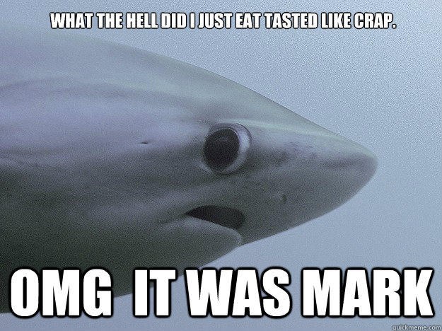 what the hell did i just eat tasted like crap.  omg  it was mark   Shy Shark