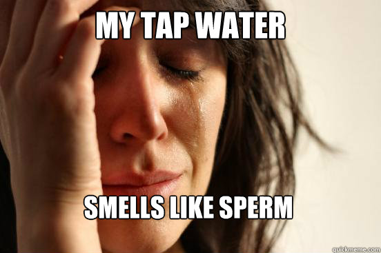 my tap water smells like sperm  First World Problems