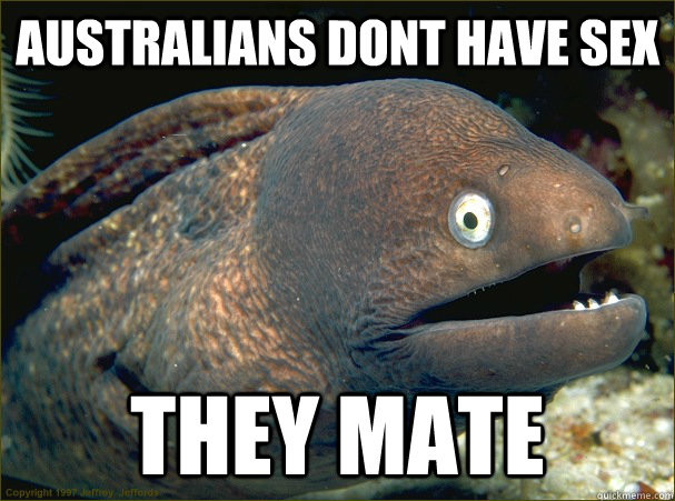 Australians dont have sex they mate  Bad Joke Eel